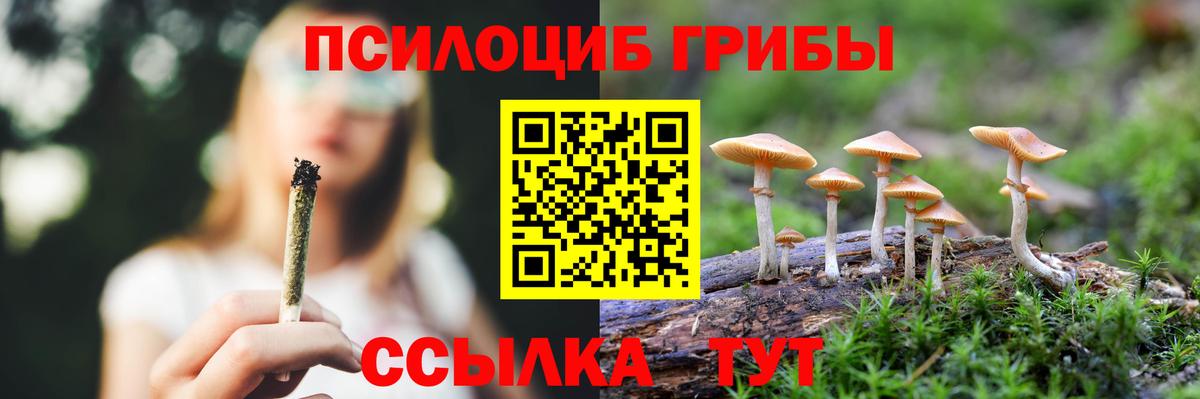 Псилоцибиновые грибы прущие грибы  Вход с VPN  Дербент 